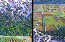 Different Points of View